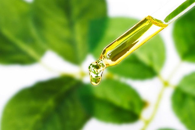 Fundamentals Focus on Grape Seed Oil