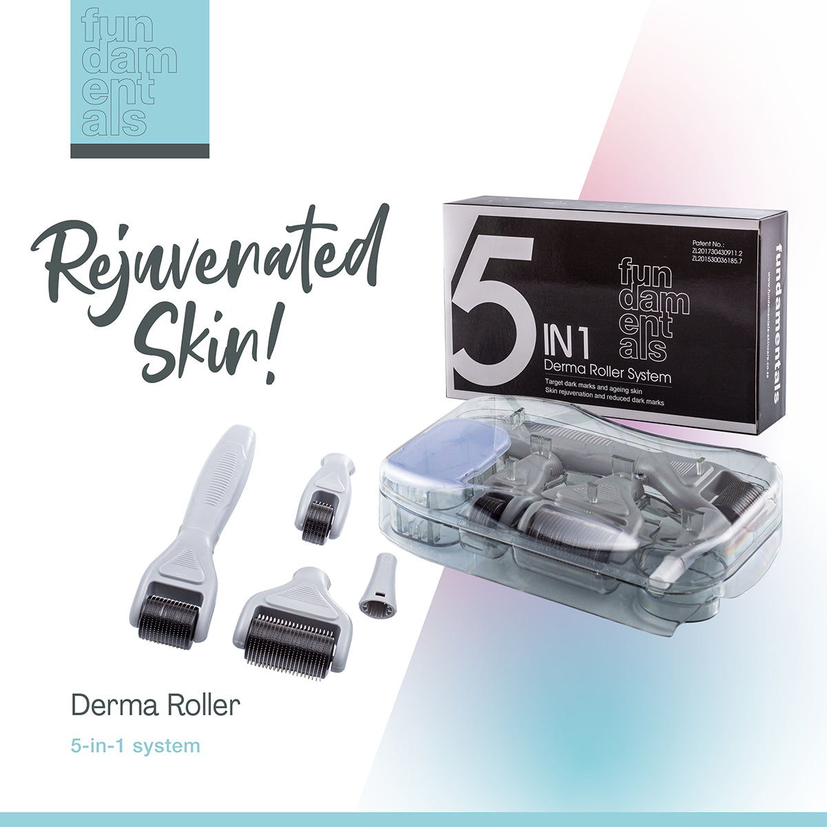 5 in 1 Dermaroller System