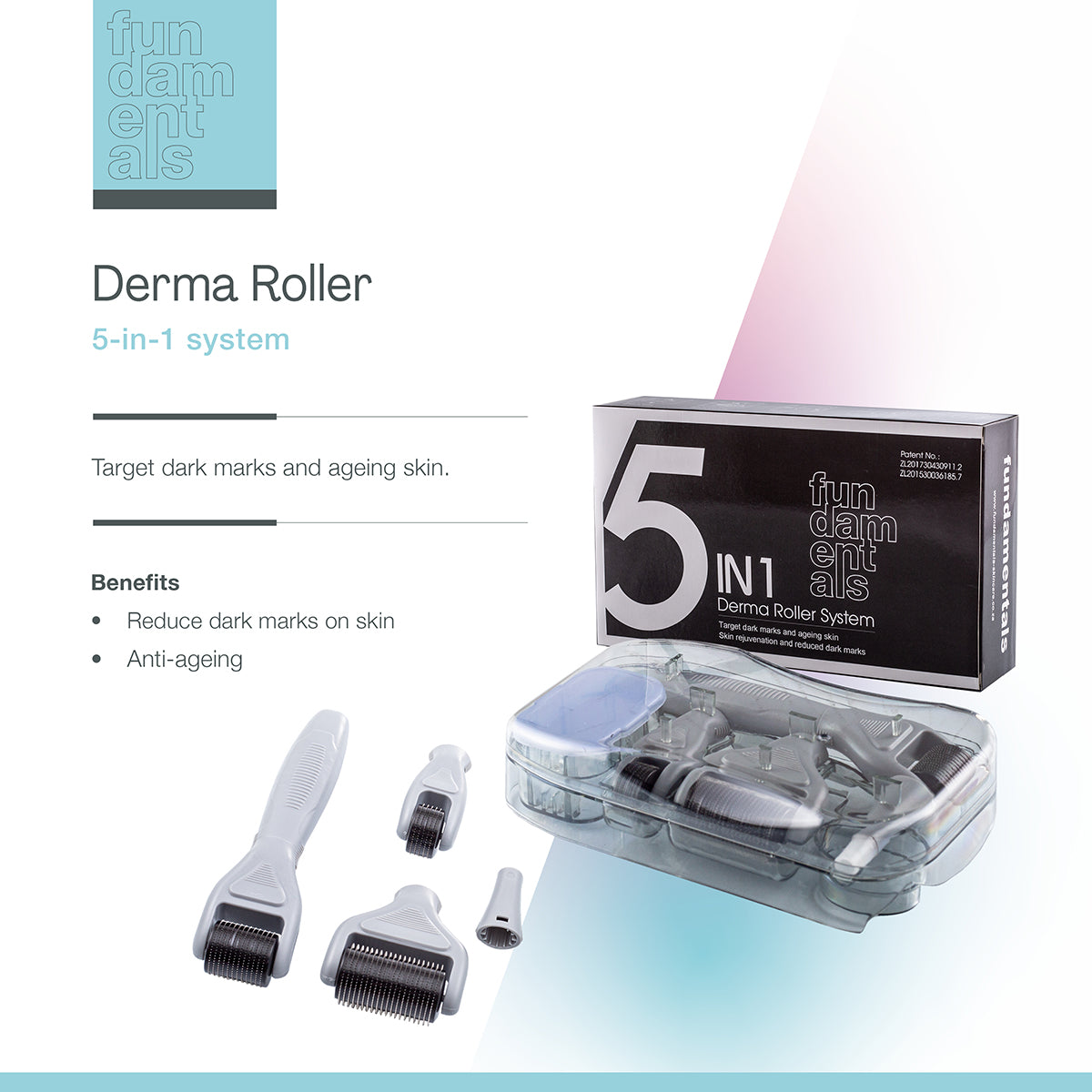 5 in 1 Dermaroller System